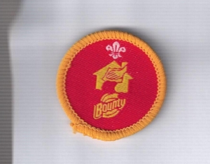 [Badge Image]