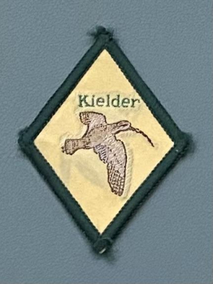 [Badge Image]