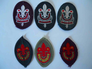 [Badge Image]
