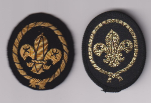 [Badge Image]