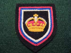 [Badge Image]