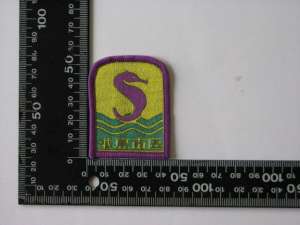 [Badge Image]