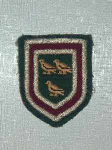 [Badge Image]