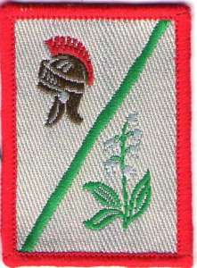 [Badge Image]