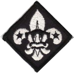 [Badge Image]