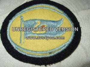 [Badge Image]