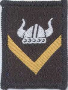 [Badge Image]