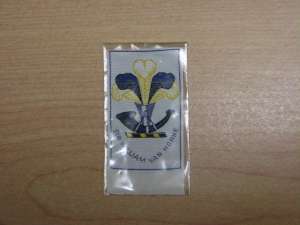 [Badge Image]