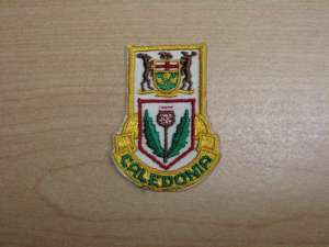 [Badge Image]