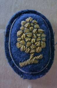 [Badge Image]