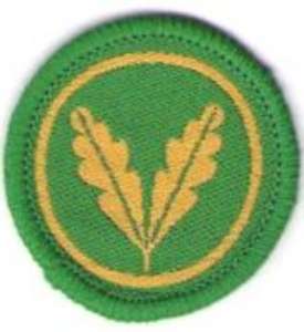 [Badge Image]