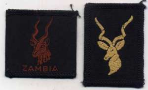 [Badge Image]