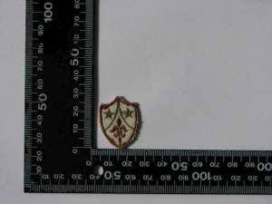 [Badge Image]