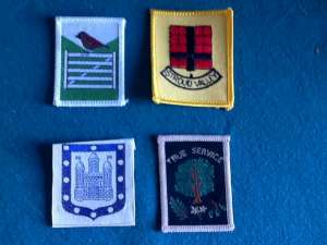 [Badge Image]