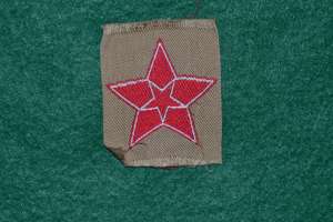 [Badge Image]