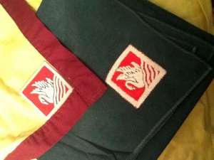 [Badge Image]