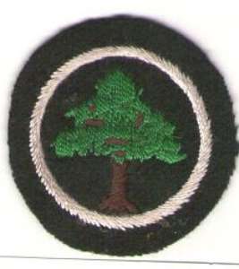 [Badge Image]