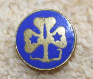 [Badge Image]