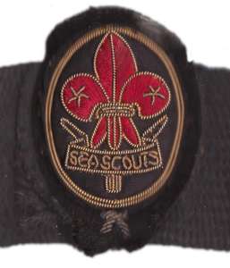 [Badge Image]