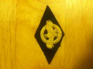 [Badge Image]
