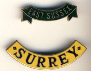 [Badge Image]