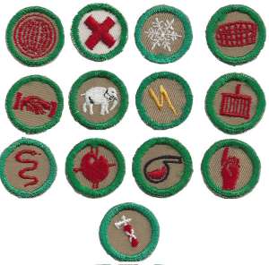 [Badge Image]