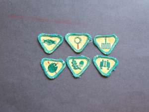 [Badge Image]