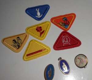 [Badge Image]