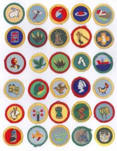 [Badge Image]