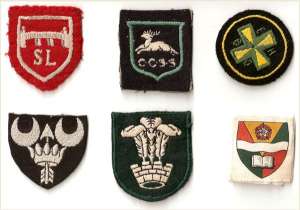 [Badge Image]