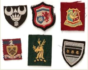 [Badge Image]