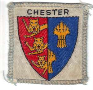 [Badge Image]