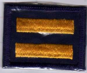 [Badge Image]