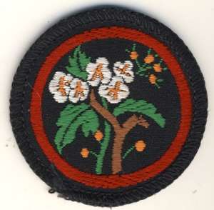 [Badge Image]