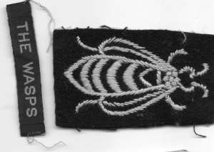 [Badge Image]
