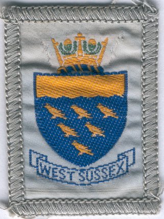 [West Sussex District Badge]