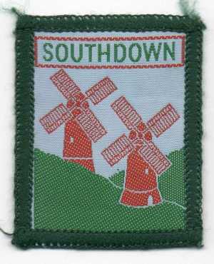 [Southdown District Badge]