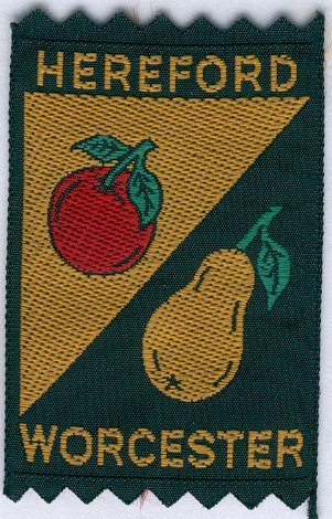 [Hereford / Worcester District Badge]