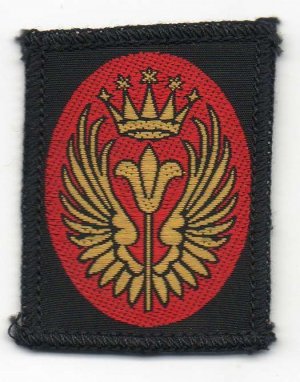 [Leighton Buzzard, Linslade & Wing District Badge]