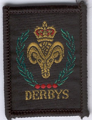 [Derbyshire District Badge]