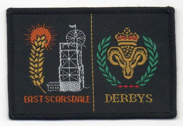 [East Scarsdale @ District Badge]