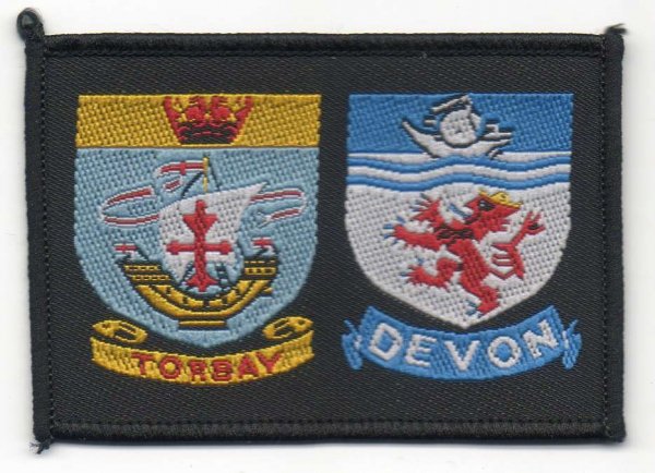 [Torbay @ District Badge]