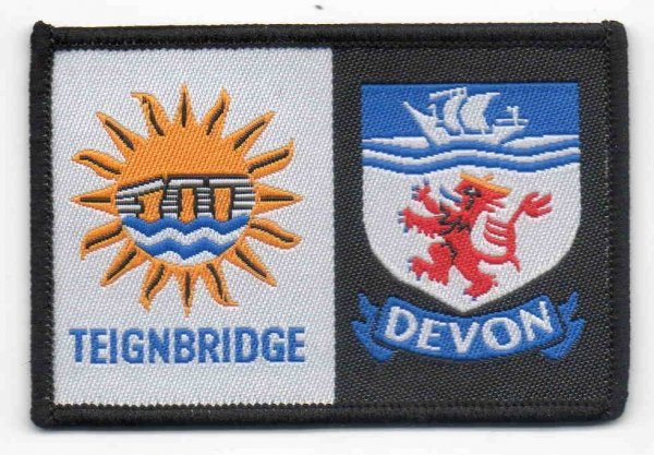 [Teignbridge @ District Badge]