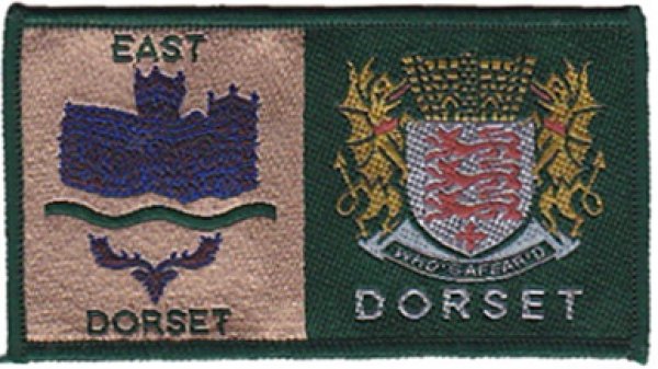 [East Dorset @ NSV District Badge]