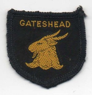 [Gateshead District Badge]