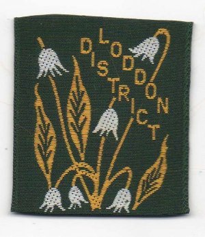 [Loddon District District Badge]
