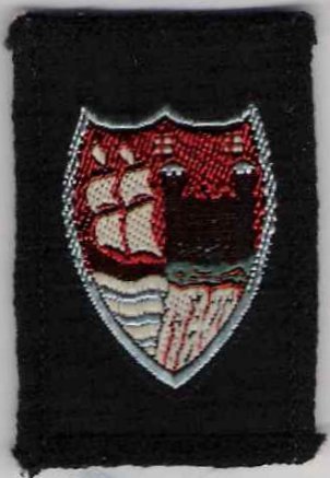 [Bristol District Badge]