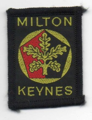 [Milton Keynes District Badge]