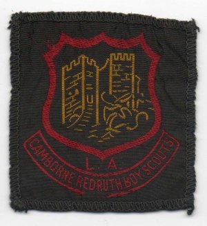 [Cambourne, Redruth & Hayle District Badge]