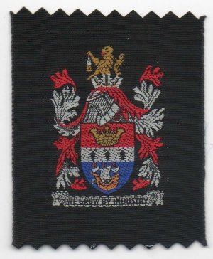[Blyth District Badge]